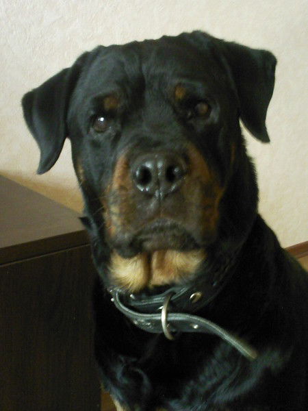 Анна Аргунова