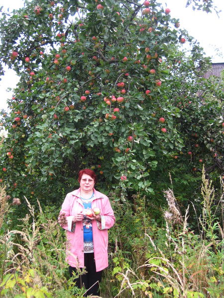 Надежда Иниватова