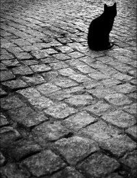 Рома Романенко