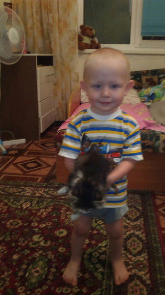 Александр Филистеев