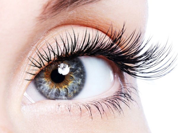 Беркутова Светлана