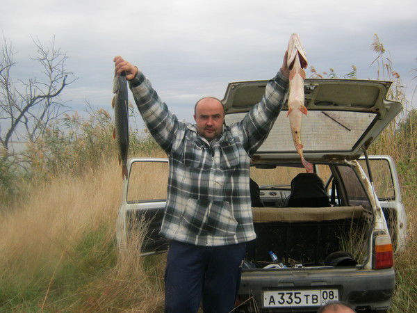 Николай Николай