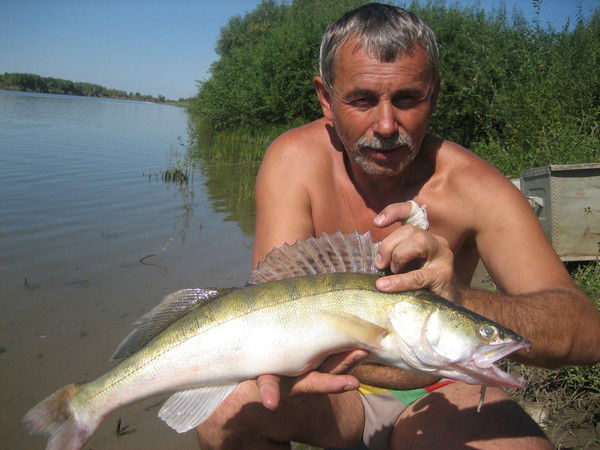 Богдан Павлюк