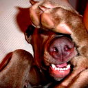 Лариса Нестерова