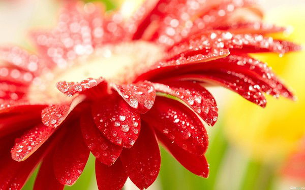 Ольга Галкина