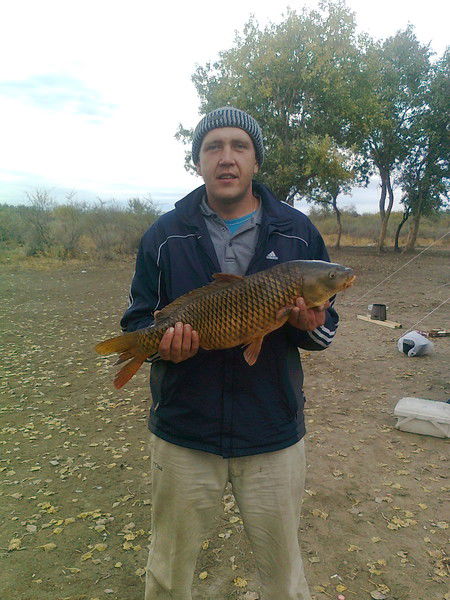 Александр Фомин