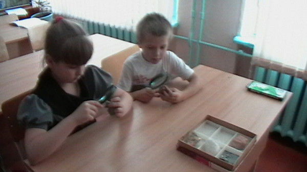 Ковалевская Сош