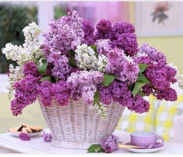 Гаяне Седракян