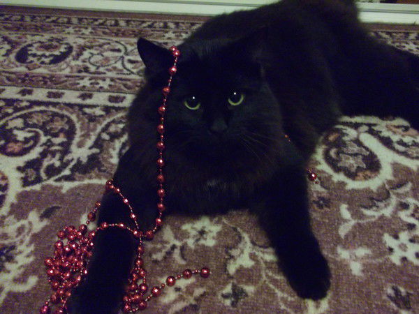 Виктор Олешкевич