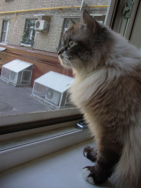 Ксения Мухина