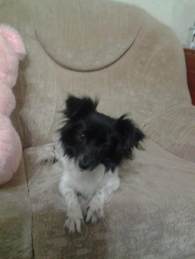 Даша Баукова