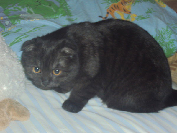 Татьяна Тюрина