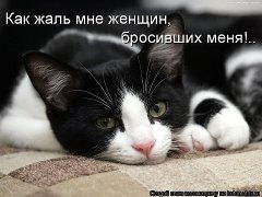 Шахназар Магомедов