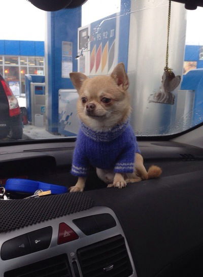 Оксана Ефимова