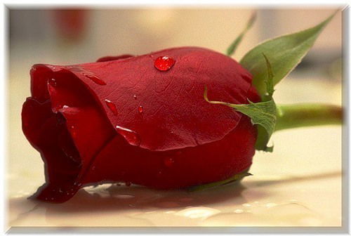 Лия Клименко