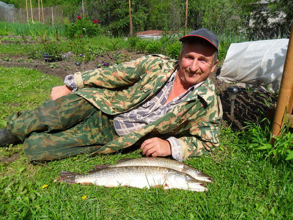 Евгений Соколов