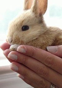 Ангелина Рахмонова