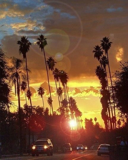 Александр Чирнов