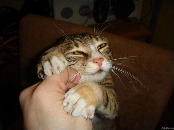 Томирис Жуманова