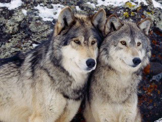 Александр Безьянов