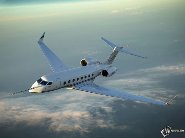 Дмитрий Гынку