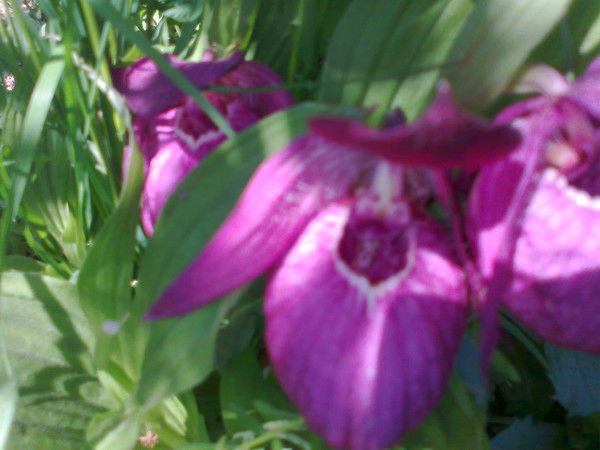 Лариса Рудакова