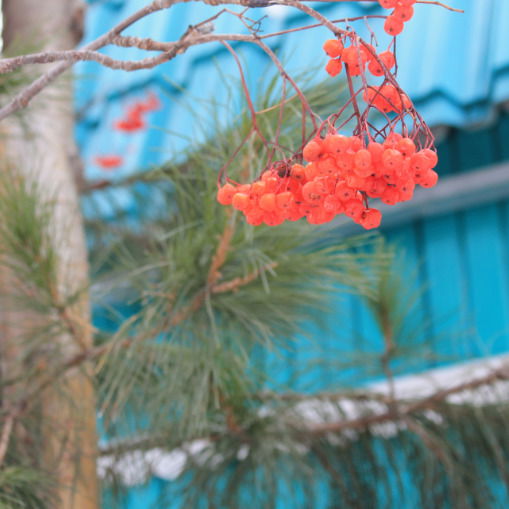 Юлия Дедюхина