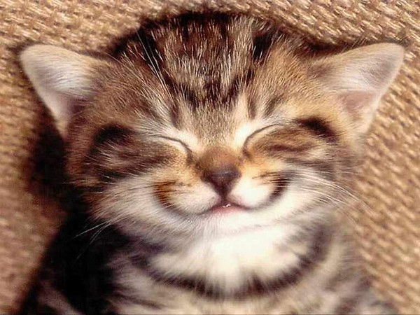 Стас Пупкин