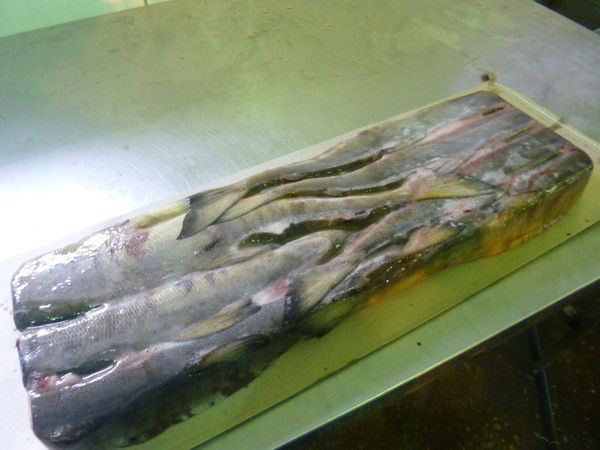 Александр Гаевой