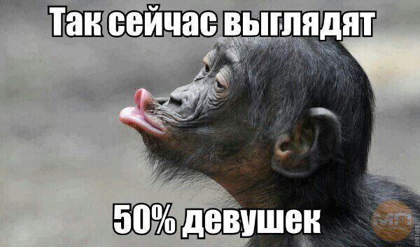 Александр Опалько