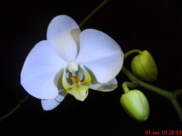 Ирина Богатырёва