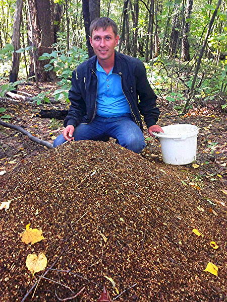 Алексей Чирков