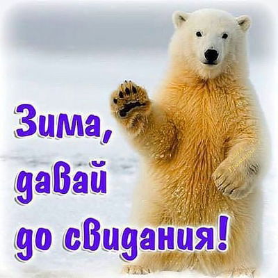 Дмитрий Точилкин