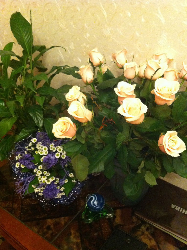 Ирина Зайцева