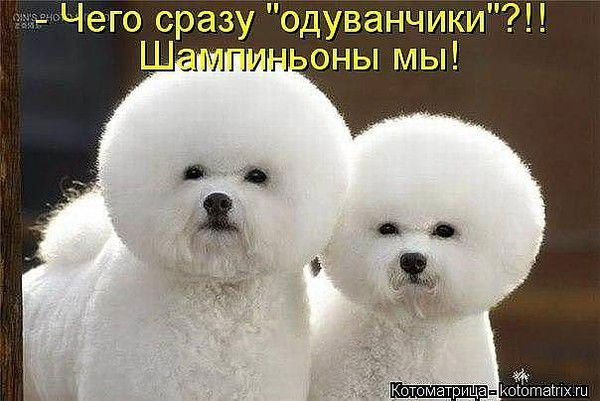 Олеся Сергеевна