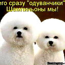 Олеся Сергеевна