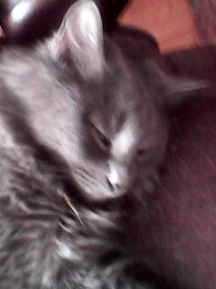 Галина Медведева