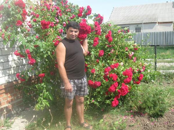 Виктор Салин