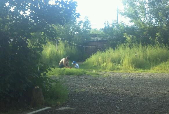 Айбар Курманов