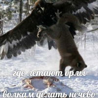 Ибрагим Тавлиев