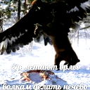 Ибрагим Тавлиев