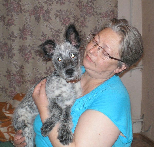 Лариса Иванова