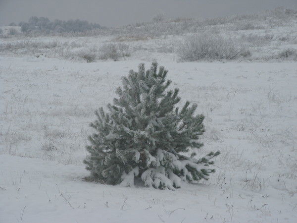 Владимир Зыков