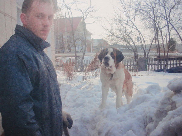 Алексей Жарков