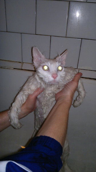 Слава Бойцов