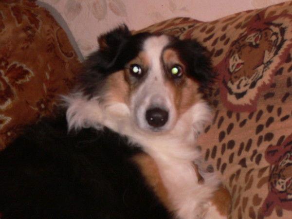 Ольга Сороко