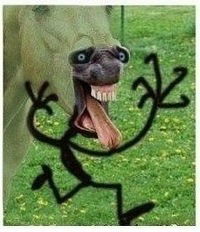 Влад Деревянкин