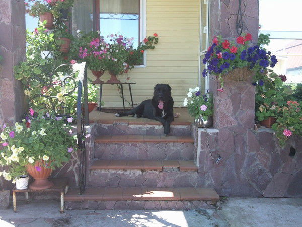 Валентина Валентина