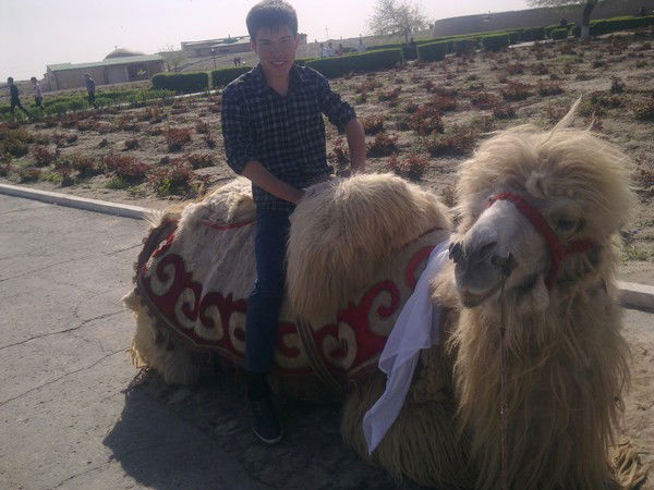 Erdaulet Kursant Viireis