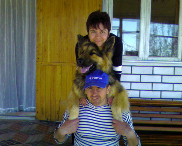 Виталий Стрельченко